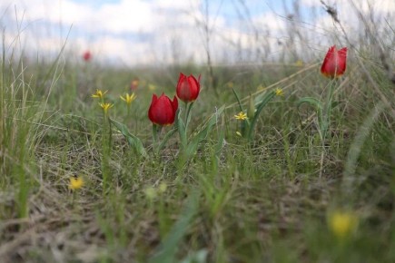 �� 1 ��� ���. ������ �������� ���������� �� ��������� ������