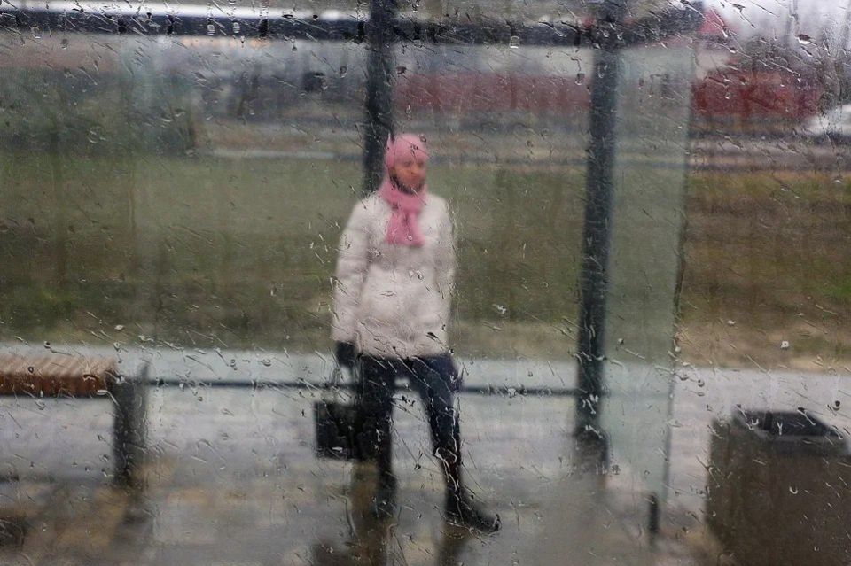 � ��������� ��� ������������ �������� "����" ��������