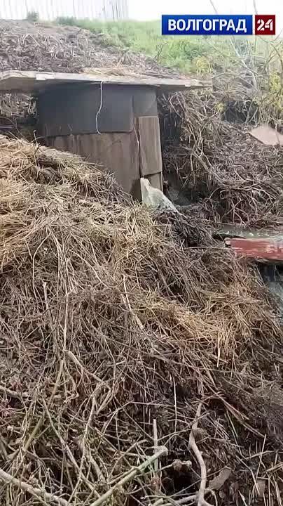 ������ ������� �������� �� ����� ������� ���