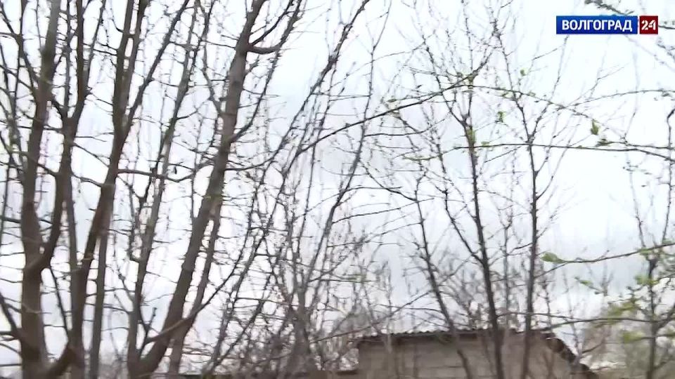 ��� ���� � ������ ����� ������ �������� ������ ���������� ������������� �������