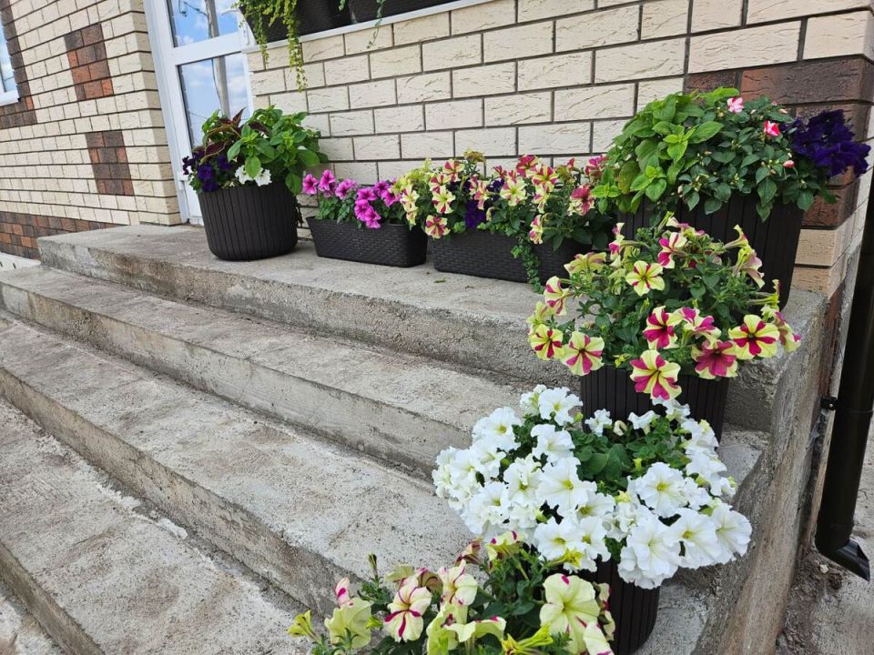 ��� ��������� �������: ������� ������� � ����� ������