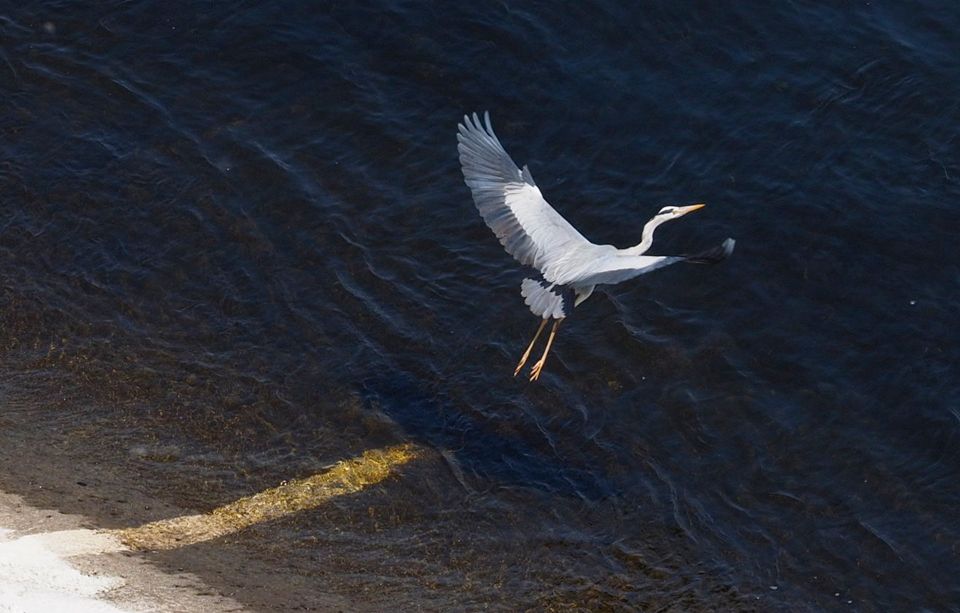 ��� �����, � ��� ������ 17 ������?