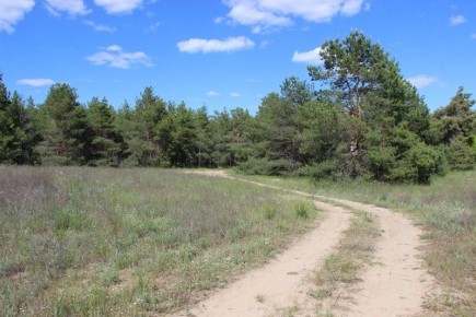 ����������� �������� ���� ���������� ������������� ������ ������ ������