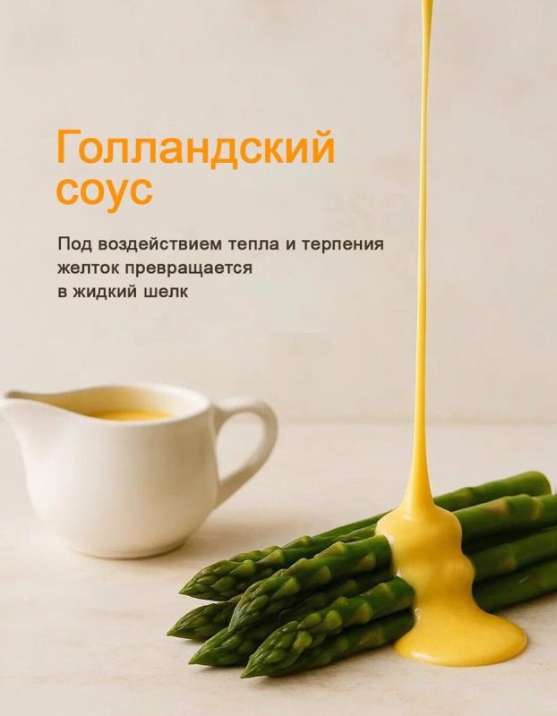 ����������� ����: ��������� ������������� � ����� ���������