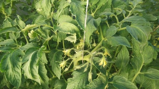 ��� �������� ��������� ����� ����� ������������� ���������� ��� �����������