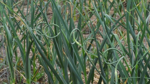 ��� ��������� ���������� ������ ������ ������ ��� �������� ������