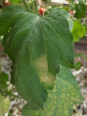 ������������� ������ ������ � ��������������: ��� ������ � ���� ��������