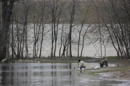 ������������� ������� �������� ������ �����������