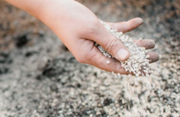 ������� ������������ ����� ������: ����������� ���� ��������� ����������