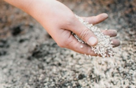 ������� ������������ ����� ������: ����������� ���� ��������� ����������