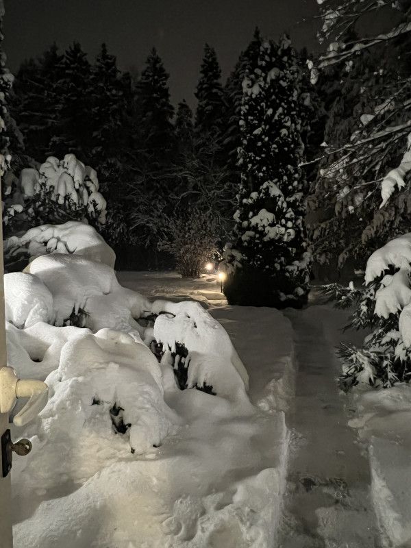 ��� ����������� ������� ����� ����������� ���������