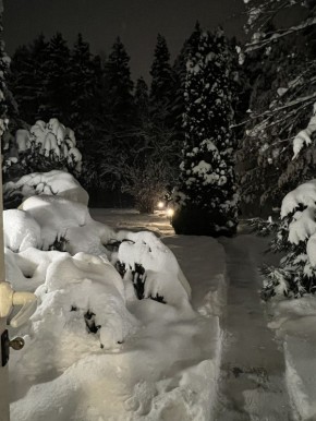 ��� ����������� ������� ����� ����������� ���������