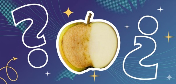 ������ ������ ����: ��� ��� ������� � �� ��������� ����������?