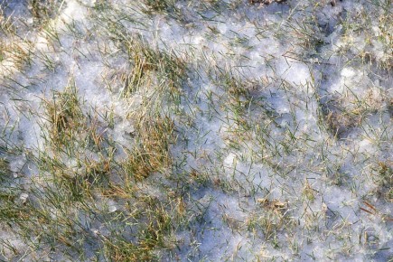 ���� ������� � ���������� � ����� ������