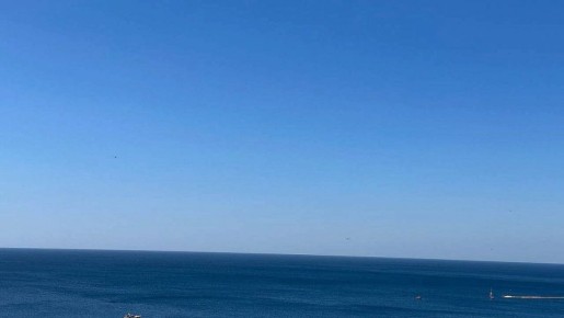 ����� � ���������: ������������ ������� ����� 379 �����������