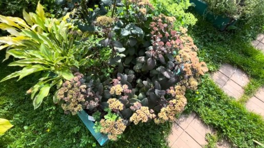 ���� ������������� �������� ��� ������� �������, ������� ��������� ������