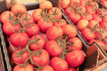 ������������� ��������� � ������� ��� �� ������ � ��������