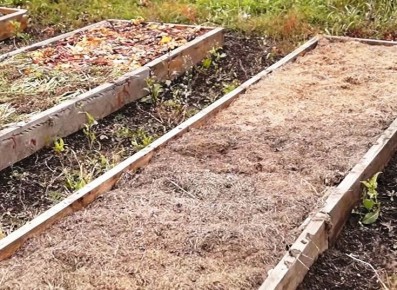 ��� ��������� ����������� ������ ��� ��������� ������: ������ ��� �����������