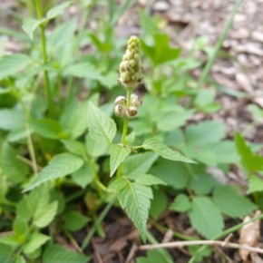 ����������: �������� ����� ������ ���� � ����������� ������ ������ � ���