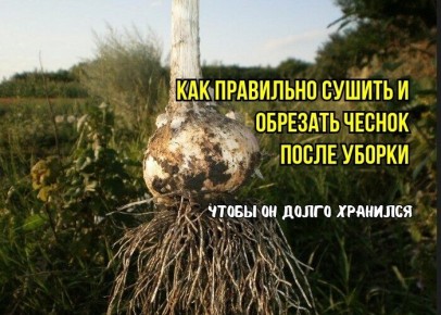 ������: ��� �������� �������� ������ ��� ����� � ��������