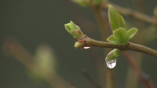 ��������� � �������� ������ �� �������� ������������� �������