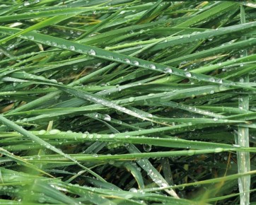 ����������� ����� ��������� � ����������� - �������� ����� ��������� ��������� ���