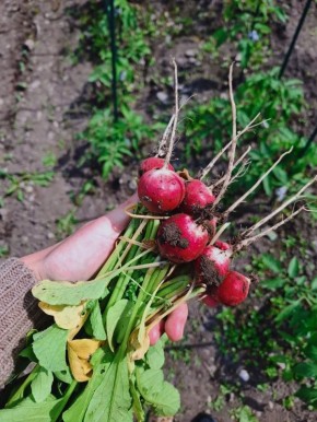 ����������� ������ � ������������� �������: ������� ���������� �������� ����