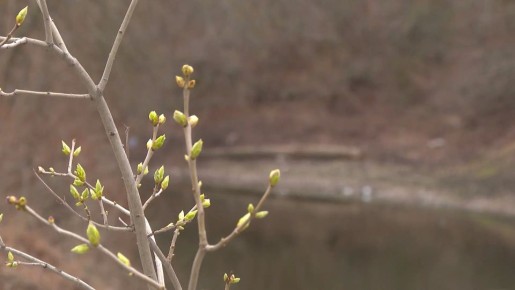 ��������� �� -3 ������������ � ������������� ������� � 1 �� 4 ���