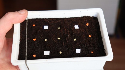 ��� ��������� ������� ����� � ����� ��� ������� �������