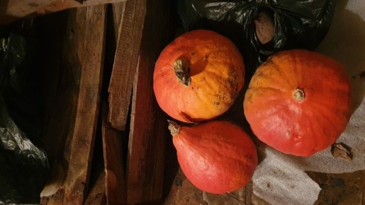 ������������ �������� �����: ��� ����� ���� ���������� ������� ������ � �������� ����