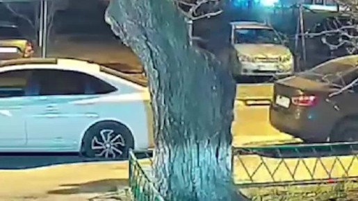 ������������� ����������� ������� ��� ��������� �������� ���������� ������������ ��������� ���������� ���������