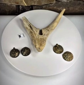 ������ ��������, ���������� ������ � ��������� ������� � ��� �� ������������ �������� ���������� ����������