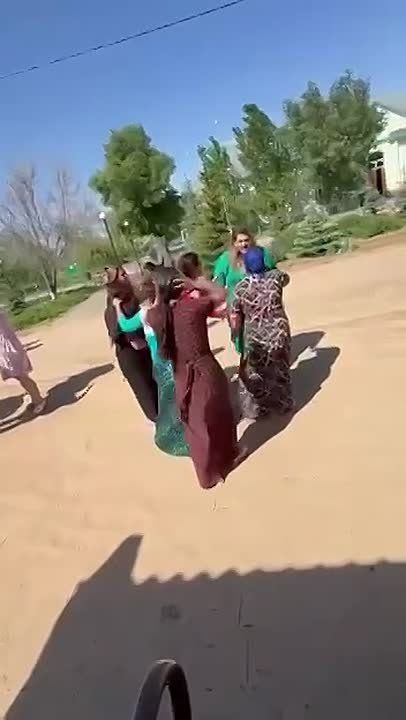 Цыганская диаспора держит в страхе село в Волгоградской области