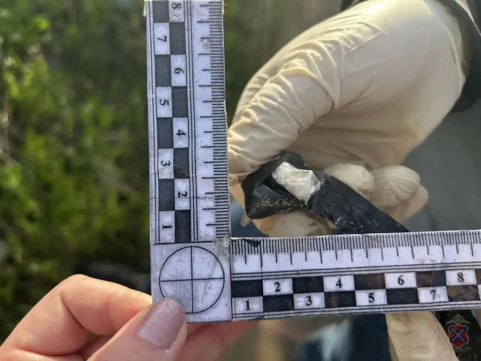 Полицейские Камышина задержали подозреваемую в сбыте запрещенных веществ Полицейские Камышина задержали подозреваемую в сбыте запрещенных веществ