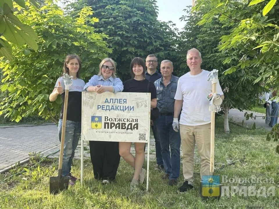 Аллея «Волжской правды» в парке «Волжский» пополнилась 10 новыми каштанами