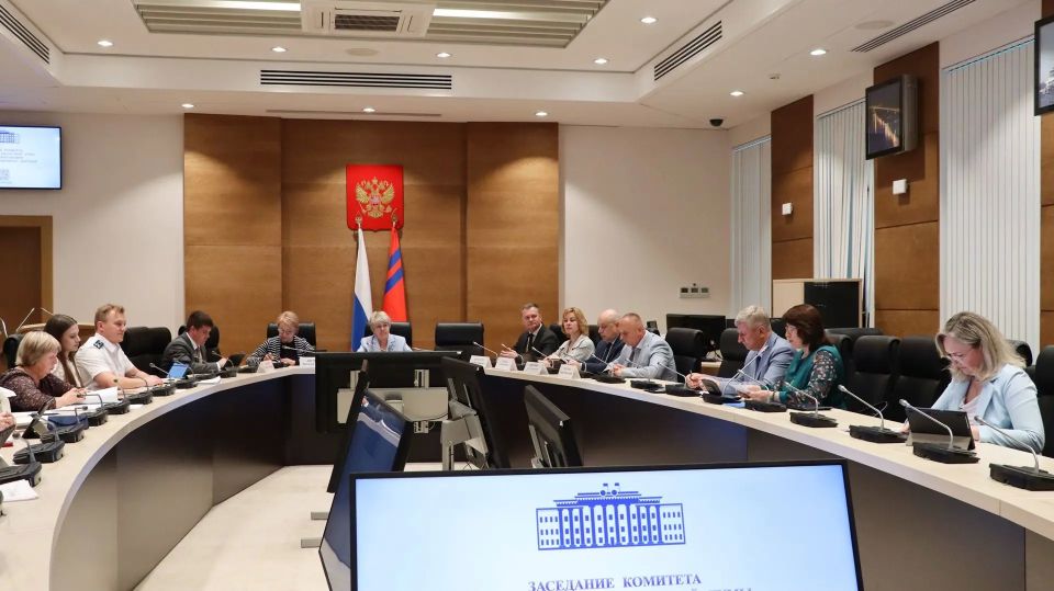 Профильный парламентский комитет под председательством Натальи Семёновой рассмотрел проекты закона об исполнение бюджета ТФОМС за 2025 год, а также корректировки бюджета ТФОМС в 2026-м