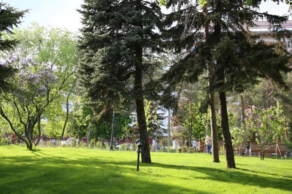 Жителей Камышинского района Волгоградской области зовут участвовать в экологической акции «Семена для леса»