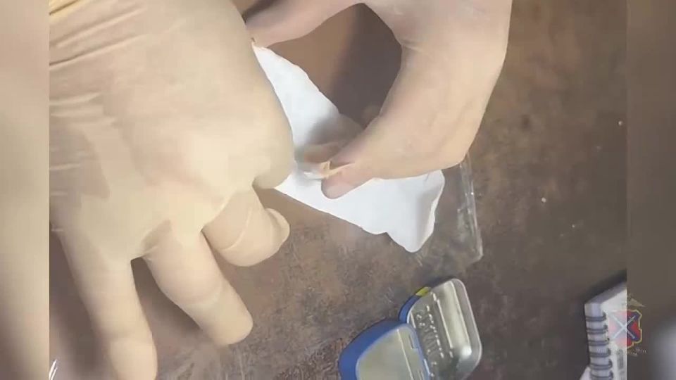 Полицейские в Калачевском районе задержали 23-летнюю волгоградку, перевозившую запрещенные вещества