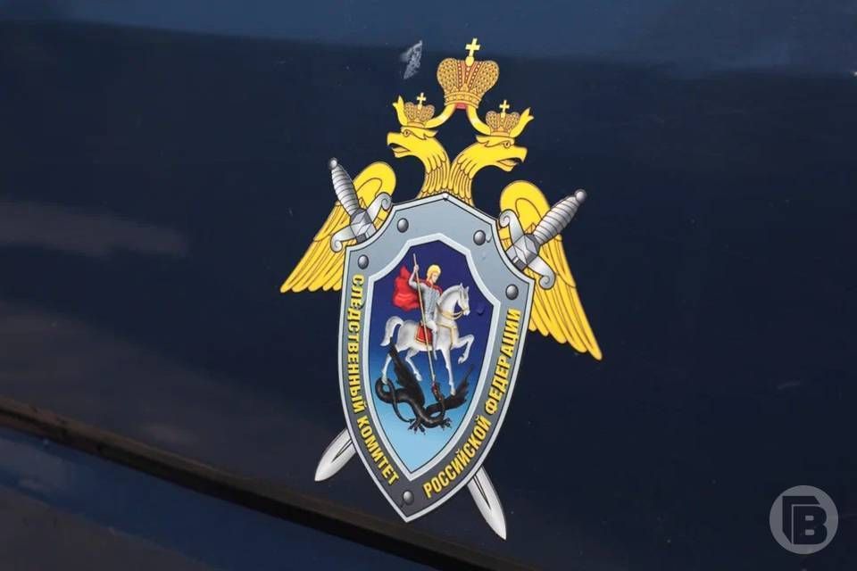 Иностранный гражданин обвиняется в покушении на дачу взятки сотруднику полиции в Волгоградской области, расследование завершено, уголовное дело передано в суд, сообщает СУ СК РФ по региону