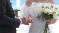 10 новых площадок для выездных регистраций брака появятся в Волгоградской области летом