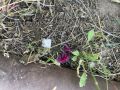 Полицейские задержали подозреваемых в хранении наркотиков
