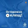 Безопасность выходного дня: отдых на природе