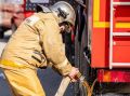 В Волгограде из-за недосмотра рабочих сгорели 14 кошек