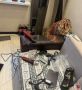 Волгоградские полицейские задержали подозреваемую в краже денег из квартиры
