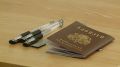 Число 100-балльных результатов по ЕГЭ выросло до 56 в Волгоградской области