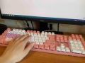 Сервис для волгоградских абитуриентов дополнили новыми функциями