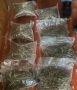 Волгоградские полицейские изъяли у оптового наркосбытчика более 7 кг марихуаны
