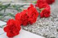 19-летний волгоградец Дмитрий Смирнов погиб на СВО