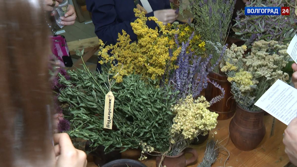 Яркое празднование накануне Дня Ивана Купалы состоялось в музее-заповеднике «Старая Сарепта» Яркое празднование накануне Дня Ивана Купалы состоялось в музее-заповеднике «Старая Сарепта»
