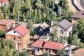 Кабан бегает по улицам в Советском районе Волгограда